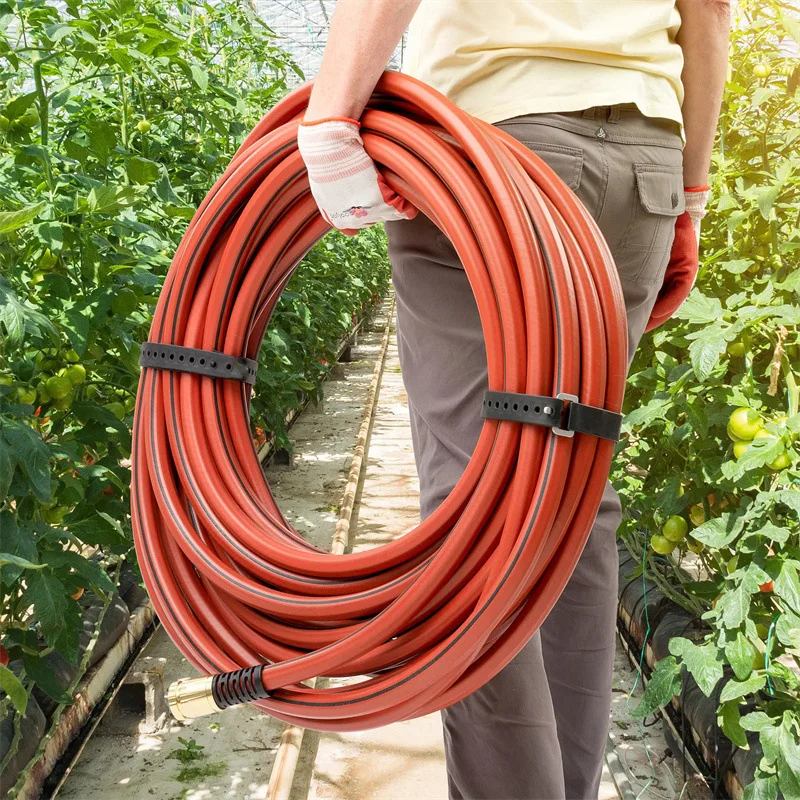 เข็มขัด2ชิ้นแบบผูกติดในยางยืดแ - Luggage Strap Belt บทวิจารณ์และราคา
